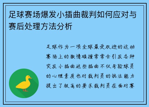足球赛场爆发小插曲裁判如何应对与赛后处理方法分析