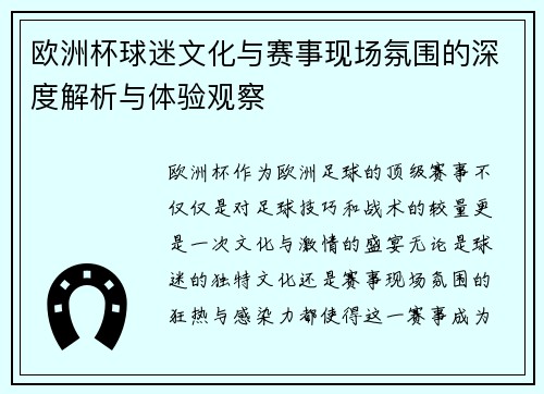 欧洲杯球迷文化与赛事现场氛围的深度解析与体验观察
